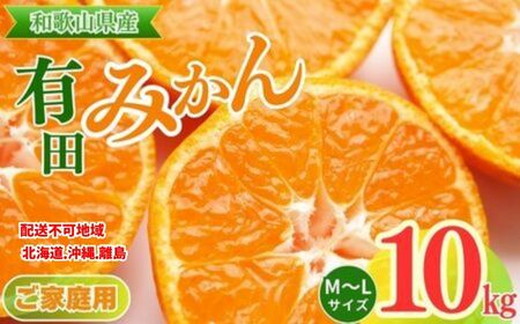 【和歌山県美浜町】【ご家庭用】和歌山有田みかん約10kg(M、Lサイズ)【美浜町】 ※北海道・沖縄・離島への配送不可 ※2025年11月上旬〜2026年1月下旬頃に順次発送予定