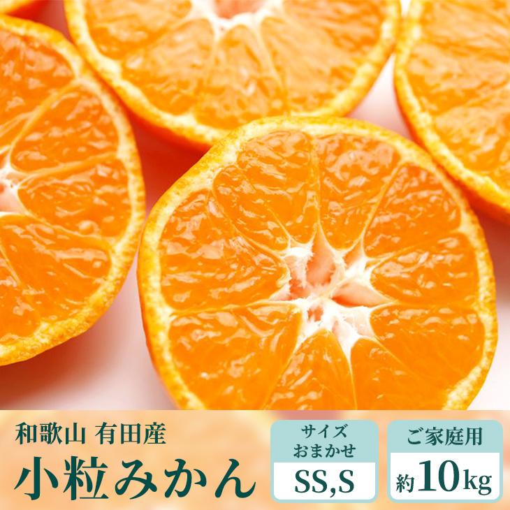 [ご家庭用]和歌山有田みかん約10kg(SS、Sサイズ)[美浜町]〇 ※北海道・沖縄・離島への配送不可 ※2025年11月上旬〜2026年1月下旬頃に順次発送予定