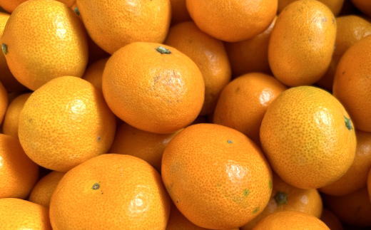 エコファーマーのこだわり有田みかん5kg(サイズ混合)◇ ※2025年11月中旬～2026年1月中旬頃に順次発送予定 ふるさと納税 みかん