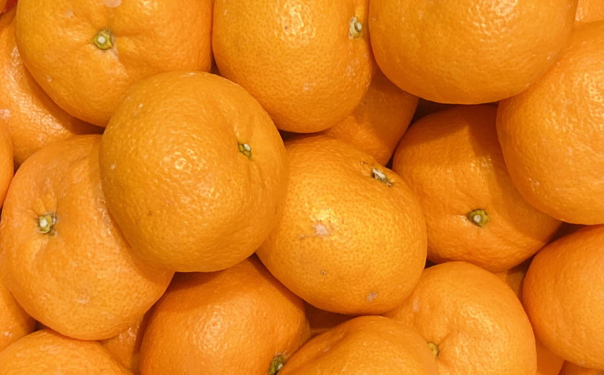 [秀品]和歌山有田みかん6kg（2Lサイズ）
※2025年11月中旬～2026年1月中旬頃に順次発送予定