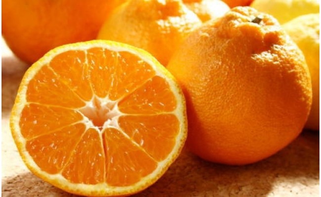 【濃厚】有田の不知火約4kg（10玉～18玉） ※2026年2月中旬～3月下旬頃に順次発送予定