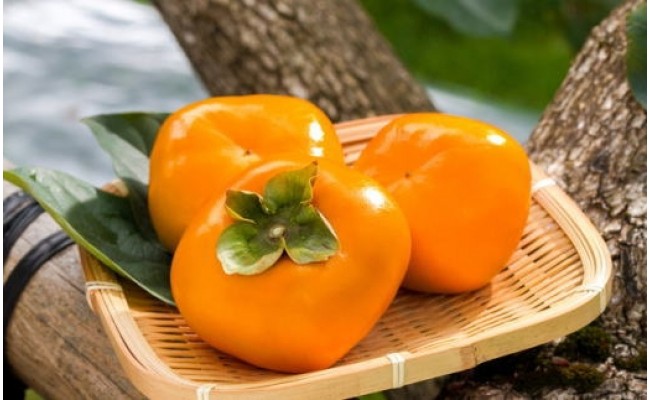 【秋の味覚】和歌山産たねなし柿（L～4Lサイズおまかせ）約7.5kg・秀品〇