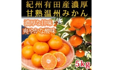 紀州有田産濃厚甘熟温州みかん5kg
※2025年11月下旬〜2026年1月下旬頃に順次発送予定