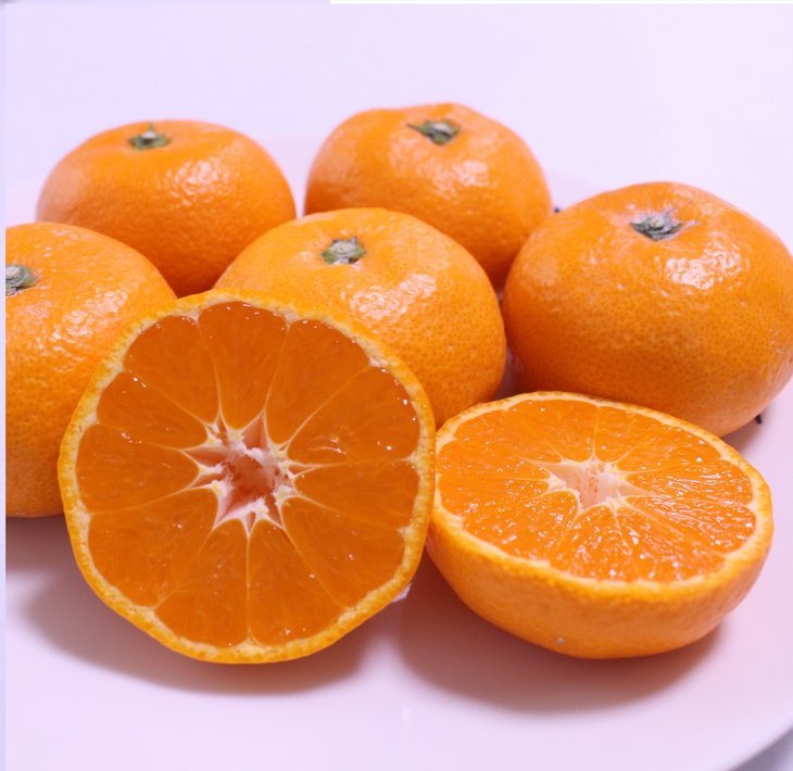 こだわりの和歌山県産 有田みかん 5kg（S～Lサイズおまかせ）ひとつひとつ手選別で厳選！生産者から直送 ※2025年11月下旬頃より順次発送予定