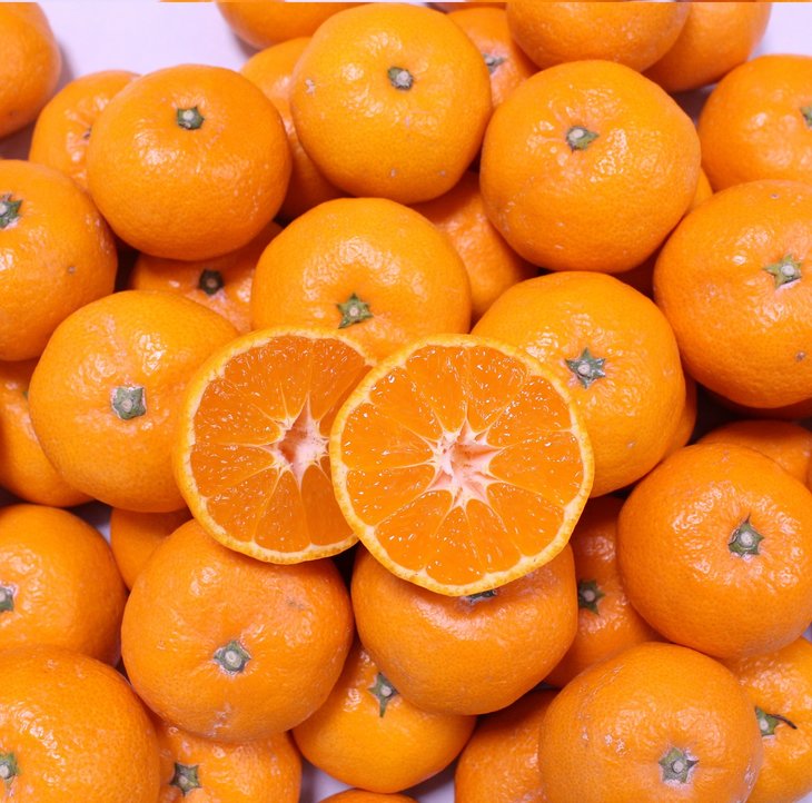 [大玉]和歌山県産 有田みかん10kg（2L～4Lサイズおまかせ）ひとつひとつ手選別で厳選！生産者から直送 ※2025年11月下旬頃より順次発送予定