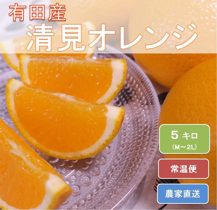 【和歌山県美浜町】和歌山県有田産 完熟清見オレンジ 5kg(M〜2Lサイズおまかせ)ひとつひとつ丁寧に厳選!生産者から直送 ※2026年3月中旬頃より順次発送予定