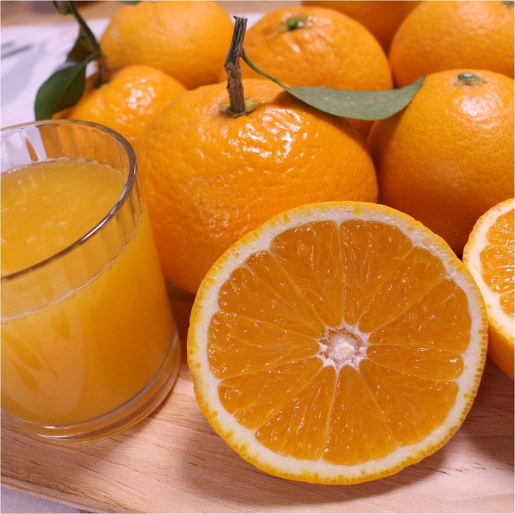 和歌山県有田産 完熟清見オレンジ 5kg（M～2Lサイズおまかせ）ひとつひとつ丁寧に厳選！生産者から直送 ※2026年3月中旬頃より順次発送予定