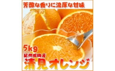 【和歌山県美浜町】とにかくジューシー清見オレンジ 5kg※2026年3月下旬頃?2026年4月中旬頃に順次発送予定
