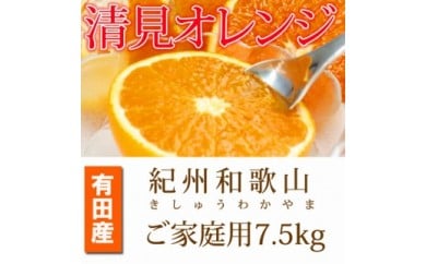 【ご家庭用訳アリ】紀州有田産清見オレンジ　７.５kg
※2026年3月下旬頃〜2026年4月中旬頃に順次発送予定