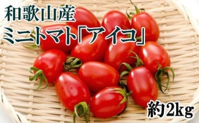【2026年1月出荷分】和歌山産ミニトマト「アイコトマト」約2kg（S・Mサイズおまかせ）※北海道、沖縄、離島への配送不可 ※2026年1月中旬～1月下旬頃に順次発送予定