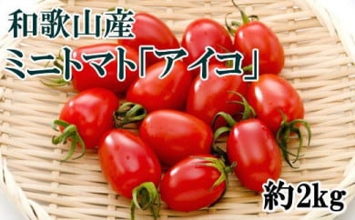 【4月出荷分】和歌山産ミニトマト「アイコトマト」約2kg（S・Mサイズおまかせ）　※北海道、沖縄、離島への配送不可　※2026年4月上旬～4月下旬頃に順次発送予定