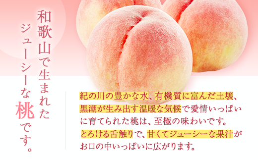 【産直・人気の特産品】和歌山の桃　約4kg・秀品 ｜ モモ 国産 フルーツ お取り寄せ ギフト