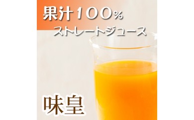 【和歌山県美浜町】有田みかん果汁100%ジュース 「味皇」 720ml×2本