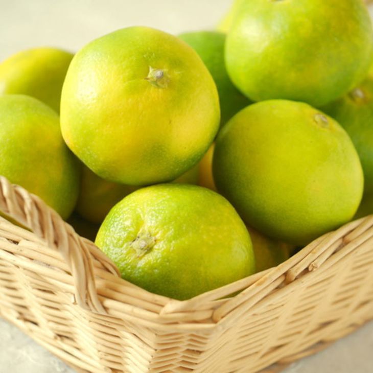 【極早生みかんの逸品】有田産ゆら早生みかん 約5kg