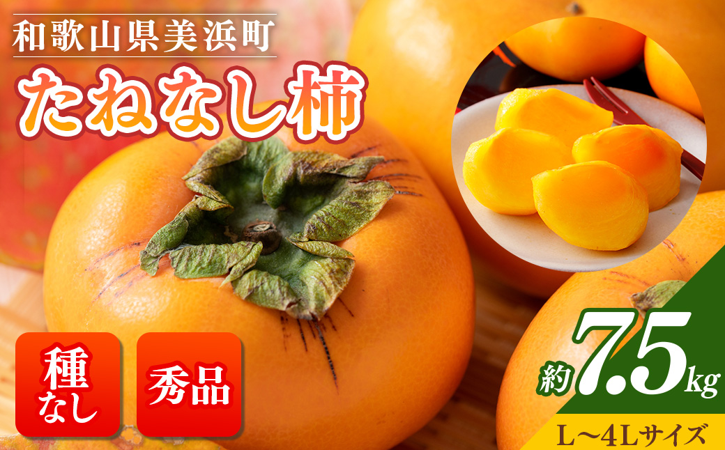 【和歌山県美浜町】【先行予約】【秋の美味】【和歌山ブランド】濃厚たねなし柿 秀品 L?4Lサイズ 約7.5kg入り ◇※北海道・沖縄・離島への配送不可※2025年10月上旬〜11月上旬頃に順次発送予定【GO-02】