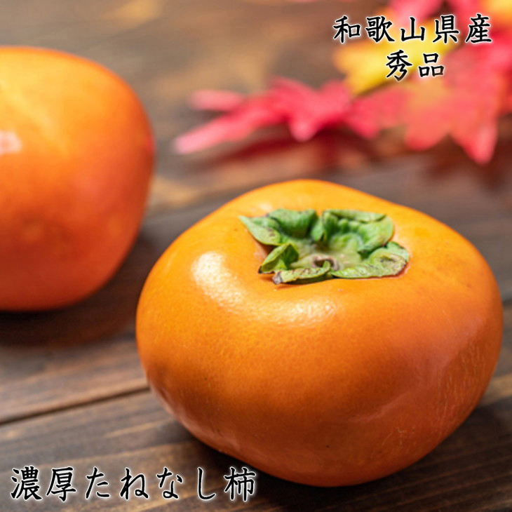 【和歌山県美浜町】【先行予約】【秋の美味】【和歌山ブランド】濃厚たねなし柿 秀品 Mサイズ 約7.5kg入り※沖縄地域へのお届け不可※2025年10月上旬〜11月上旬頃に順次発送予定【GO-01】