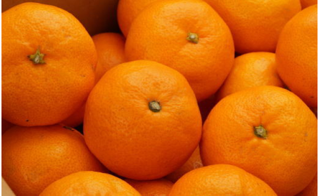 [秀品]和歌山有田みかん5kg(SサイズまたはMサイズのいずれかをお届け) 
※2025年11月中旬～2026年1月中旬頃に順次発送予定