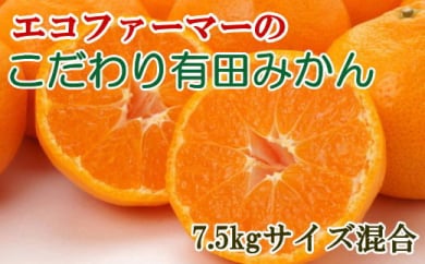 ya̎RlzGRt@[}[̂Lc݂7.5kg(TCY) 2025N11{`2026N1{ɏ\