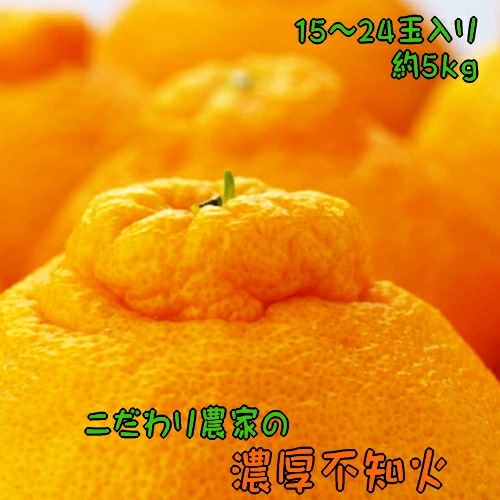 【和歌山県美浜町】【先行予約】こだわり農家の濃厚不知火(デコポンと同品種) 15〜24玉(約5kg)| デコポン 不知火 でこぽん しらぬい 柑橘 5kg 果実 フルーツ 先行予約 冬 農家直送 濃厚 ※北海道・沖縄・離島への配送不可※2026年2月上旬〜3月下旬頃に順次発送予定