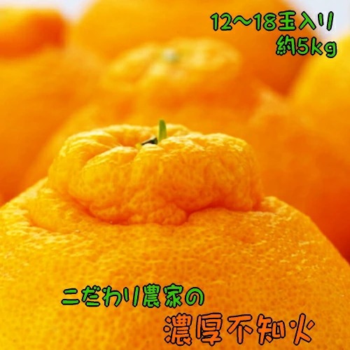【和歌山県美浜町】【先行予約】こだわり農家の濃厚不知火(デコポンと同品種) 12〜18玉(約5kg)※2026年2月上旬〜3月下旬頃に順次発送予定 ※北海道・沖縄・離島への配送不可