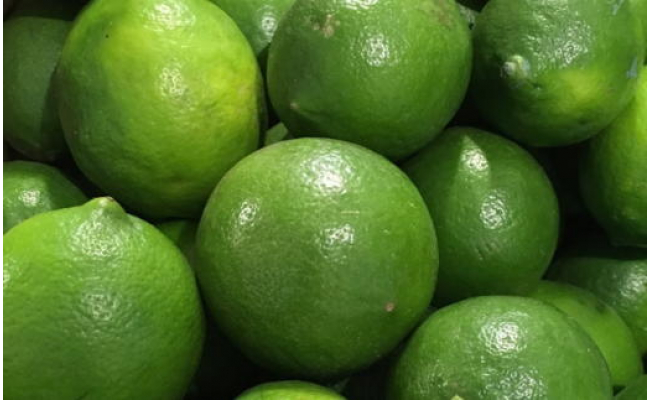【産地直送】和歌山産グリーンレモン約3kg (サイズ混合)