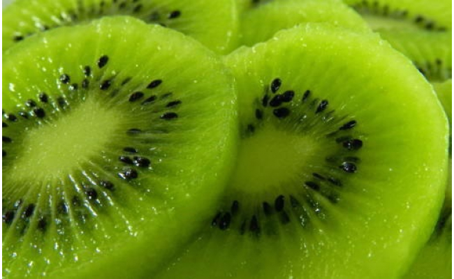 和歌山の下津で採れたキウイフルーツ約3.6kg（玉数おまかせ・秀品） ※2026年1月中旬～3月上旬頃に順次発送予定