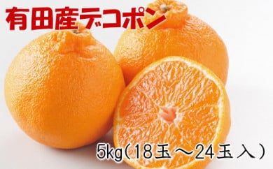 【お味濃厚】紀州有田産のデコポン約5kg（18玉～24玉入り・青秀以上） ※2026年2月中旬～3月中旬頃に順次発送予定
