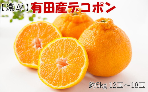 【お味濃厚】紀州有田産の大玉デコポン約5kg（12玉～18玉入り・青秀以上）｜柑橘 不知火 デコポン みかん フルーツ 果物 旬 先行予約 でこぽん 国産 産地直送 美浜町 ※2026年1月中旬～3月中旬頃に順次発送予定