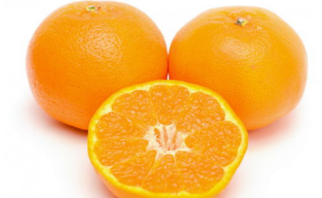 【厳選・濃厚】紀州有田産のはるみ約4kg（サイズおまかせ） ※2026年1月下旬～2月中旬頃に順次発送予定