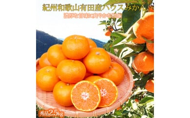 【和歌山県美浜町】紀州和歌山有田産ハウスみかん 2.5kg 化粧箱入 ふるさと納税 ミカン ※2026年7月上旬?7月下旬頃に順次発送予定