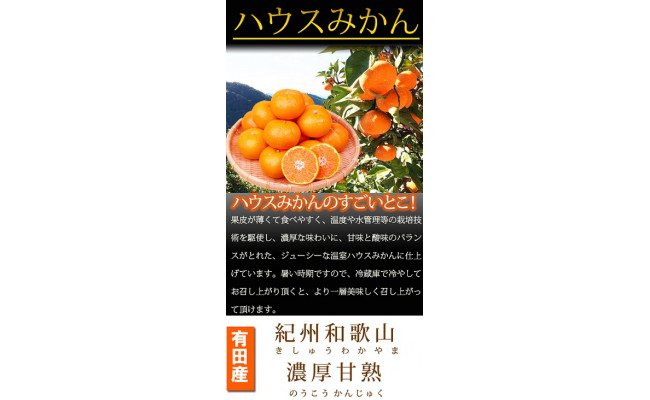 紀州和歌山有田産ハウスみかん 2.5kg 化粧箱入 ふるさと納税 ミカン ※2026年7月上旬〜7月下旬頃に順次発送予定