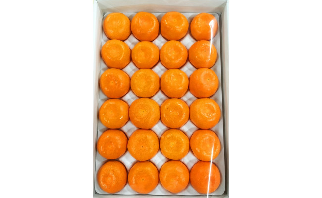 紀州和歌山有田産ハウスみかん 2.5kg 化粧箱入 ふるさと納税 ミカン ※2026年7月上旬〜7月下旬頃に順次発送予定