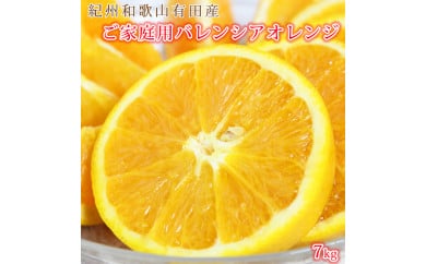【和歌山県美浜町】【ご家庭用訳あり】希少な国産バレンシアオレンジ 7kg ※2026年6月下旬〜7月上旬頃に順次発送予定