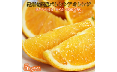 【和歌山県美浜町】秀品 希少な国産バレンシアオレンジ 5kg ※2026年6月下旬〜7月上旬頃に順次発送予定