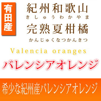 秀品 希少な国産バレンシアオレンジ 5kg ※2026年6月下旬～7月上旬頃に順次発送予定