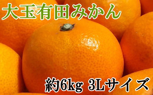 [秀品]和歌山有田みかん6kg(3Lサイズ) ※2025年11月中旬～2026年1月中旬頃に順次発送予定