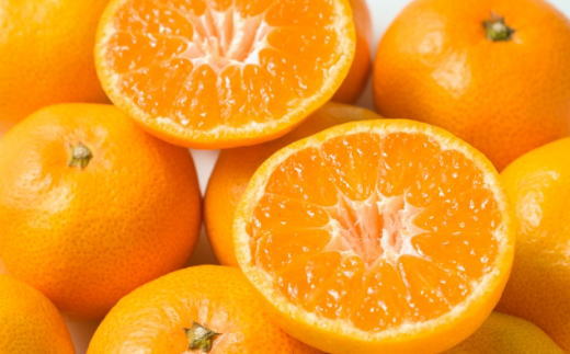 [秀品]和歌山有田みかん6kg(3Lサイズ) ※2025年11月中旬～2026年1月中旬頃に順次発送予定