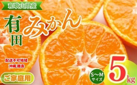 【ご家庭用】和歌山有田みかん約5kg(S、Mサイズ)〇 ｜ みかん 有田みかん 温州みかん ミカン 温州ミカン 柑橘 果物 フルーツ 甘い 先行予約 s m 甘い 5kg ※2025年11月上旬～2026年1月下旬頃に順次発送予定