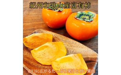 ya̎Rlza̎RH̖o xL` 2kg ϔ 2025N11{`12{ɏ\ Eւ̔s