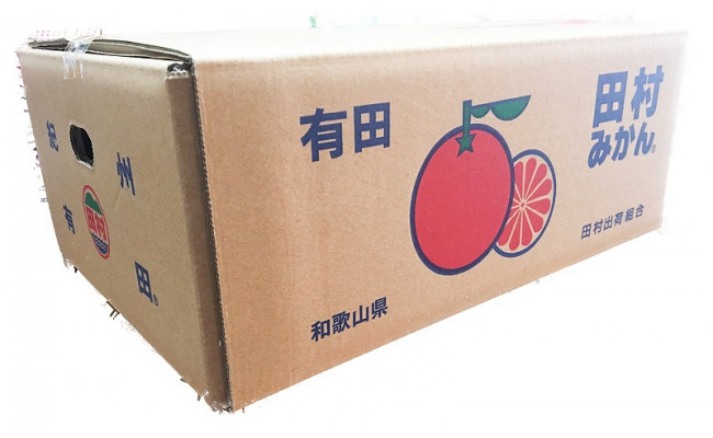 高級ブランド田村みかん　１０kg　大玉サイズ
※2025年11月下旬〜2026年1月下旬頃に順次発送予定