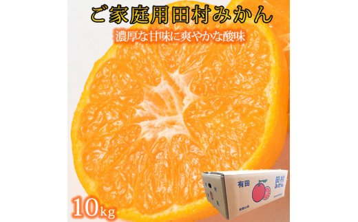 【ご家庭用訳あり】田村みかん　１０kg
※2025年11月下旬〜2026年1月下旬頃に順次発送予定