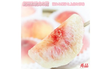 【和歌山県美浜町】紀州和歌山産の桃 約1.8kg 化粧箱入 ◇| もも モモ 桃 国産 フルーツ 果物 果実 産地直送 お取り寄せ ギフト デザート スイーツ 贈り物 ※2026年6月下旬〜8月上旬頃に順次発送予定