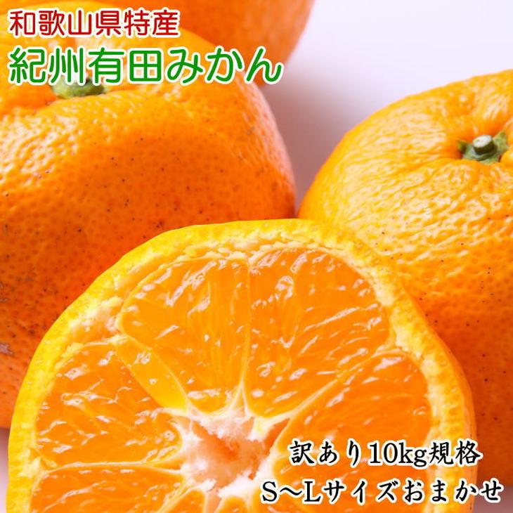 [訳あり]和歌山有田みかん約10kg(S〜Lサイズいずれかお届け) ※2025年11月中旬〜2026年1月中旬頃に順次発送予定