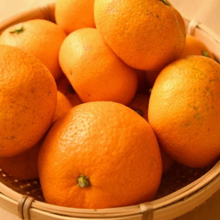 [訳あり]和歌山有田みかん約10kg（S～Lサイズいずれかお届け）
※2025年11月中旬～2026年1月中旬頃に順次発送予定