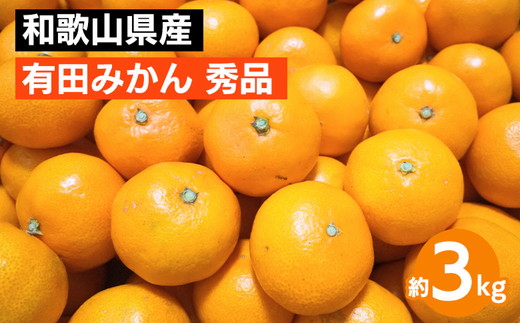 和歌山県産 有田みかん 約3kg 秀品 ※2025年10月中旬～2026年1月下旬頃に順次発送予定 ※北海道・沖縄・離島への配送不可