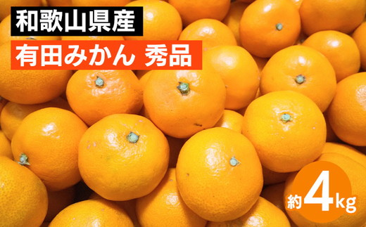 和歌山県産 有田みかん 約4kg 秀品 ※2025年10月中旬～2026年1月下旬頃に順次発送予定 ※北海道・沖縄・離島への配送不可