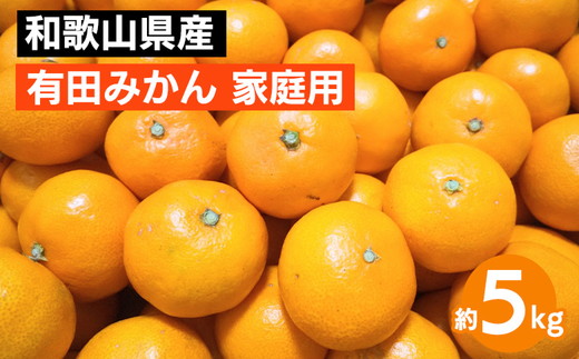 和歌山県産 有田みかん 約5kg 家庭用 ※2025年10月中旬～2026年1月下旬頃に順次発送予定 ※北海道・沖縄・離島への配送不可