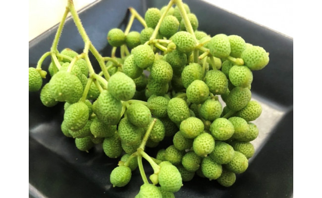 和歌山産煮アワビ スライス 【湯浅たまり醤油使用ぶどう山椒風味】160g