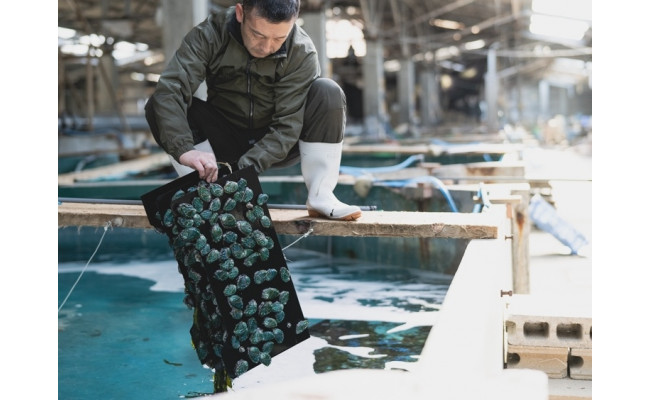 和歌山産煮アワビ スライス 【湯浅たまり醤油使用ぶどう山椒風味】160g