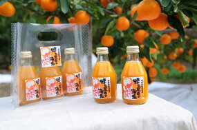 田村みかん蜂久農園の清見がっつりしぼったでぇ　清見ジュース(180ml×12本)※2026年4月以降に順次発送予定